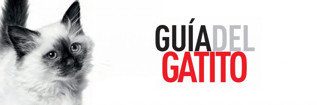 Guía del Gatito