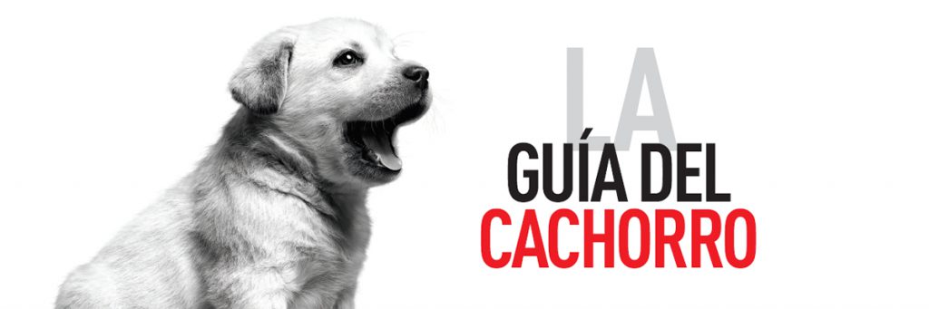 Guía del Cachorro